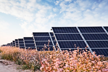 中國(guó)華能的“高性?xún)r(jià)比”光伏電站，妙招在這里！